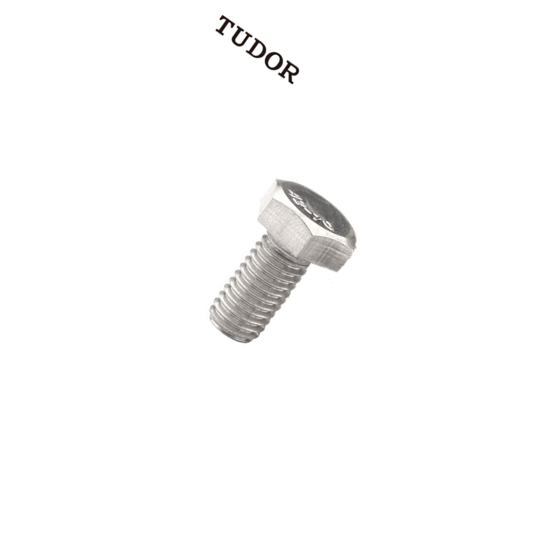 TUDOR/帝都 外六角螺丝 DIN933  不锈钢304 A2-70 本色 M36x210  2T1409 1支