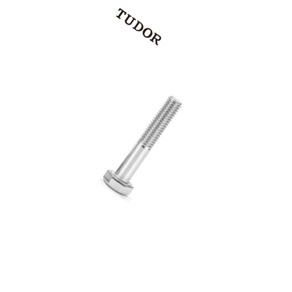 TUDOR/帝都 外六角螺丝 DIN933 DIN933 不锈钢304 A2-70 本色 M6x95 2T1586 1支