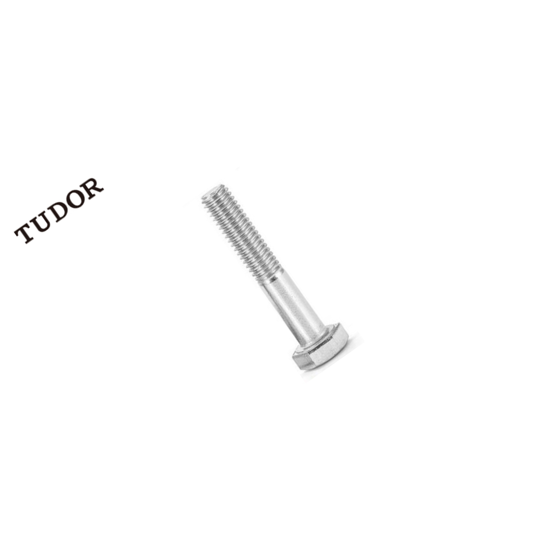 TUDOR/帝都 外六角螺丝 DIN933 DIN933 不锈钢304 A2-70 本色 M6x95 2T1586 1支