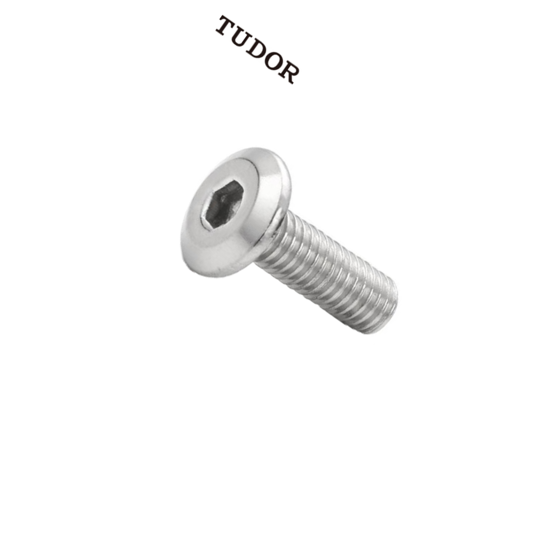 TUDOR/帝都 不锈钢 内六角螺丝 ISO7380 不锈钢304 A2-70 本色 M3*20 否 0.02kg M3 粗牙 20mm 全牙 正 2T3006 1支
