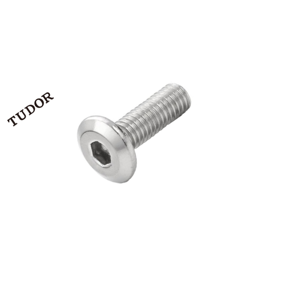 TUDOR/帝都 不锈钢 内六角螺丝 ISO7380 不锈钢304 A2-70 本色 M3*20 否 0.02kg M3 粗牙 20mm 全牙 正 2T3006 1支