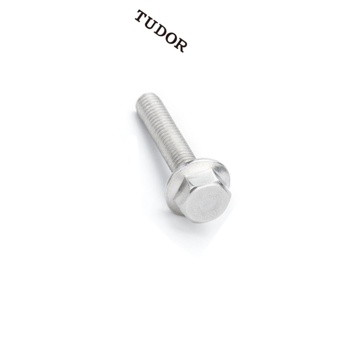 TUDOR/帝都 不锈钢法兰 GB5789 不锈钢 A2-70 本色 M5 粗牙 10mm 全牙 正 2T3865 1支