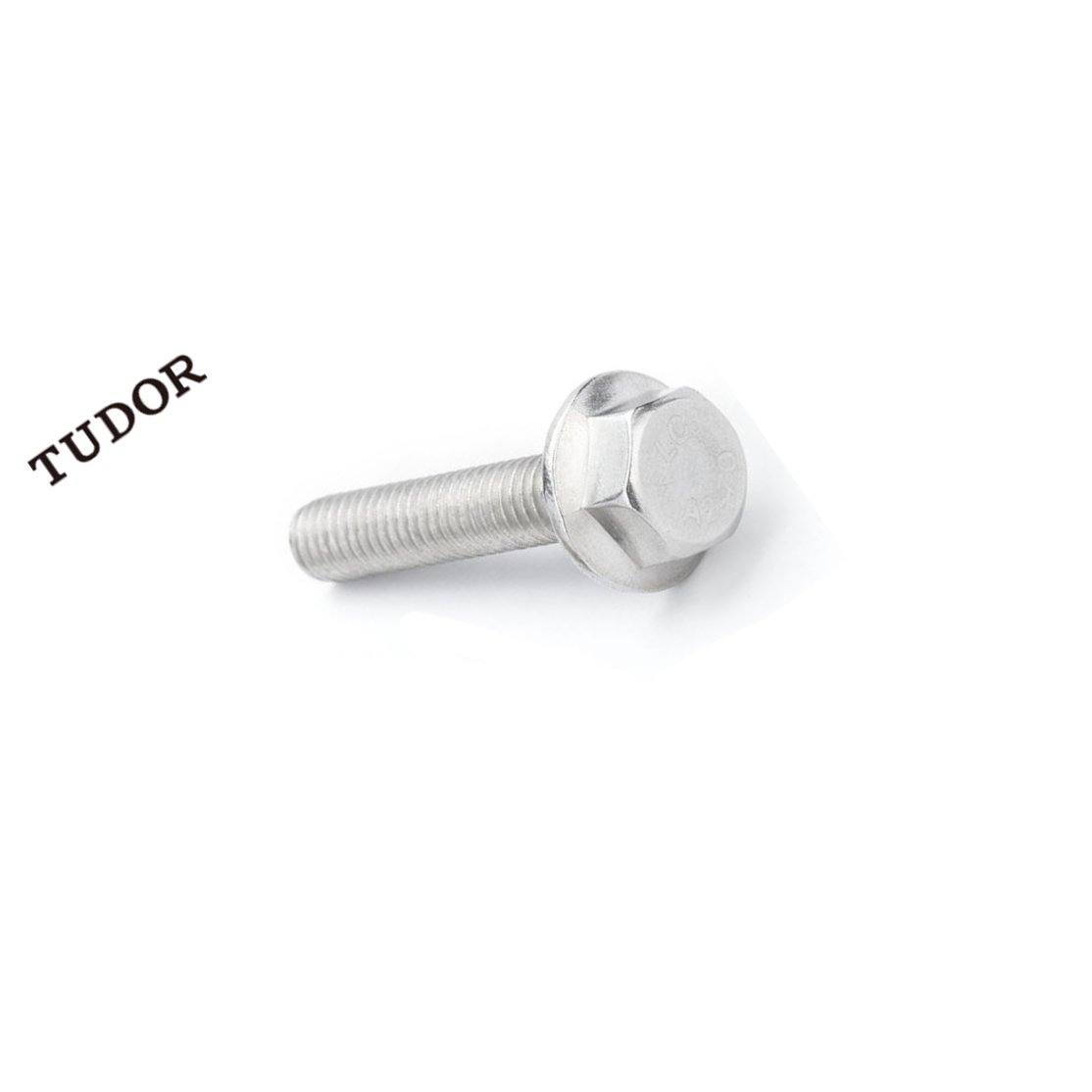 TUDOR/帝都 不锈钢法兰 GB5789 不锈钢 A2-70 本色 M5 粗牙 10mm 全牙 正 2T3865 1支