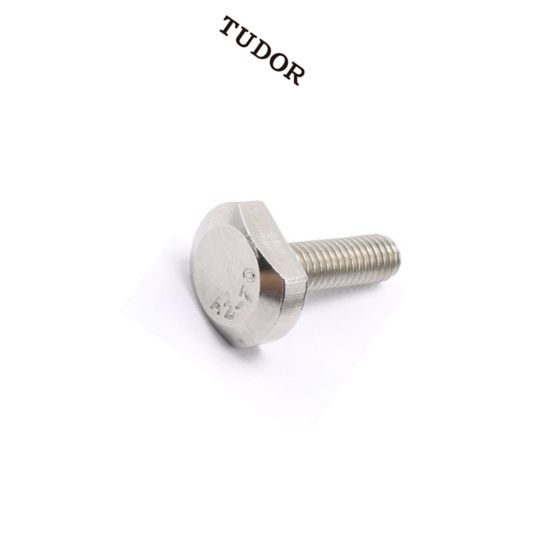 TUDOR/帝都 不锈钢法兰 GB37 不锈钢 A2-70 本色 M5 粗牙 35mm 全牙 正 2T3911 1支