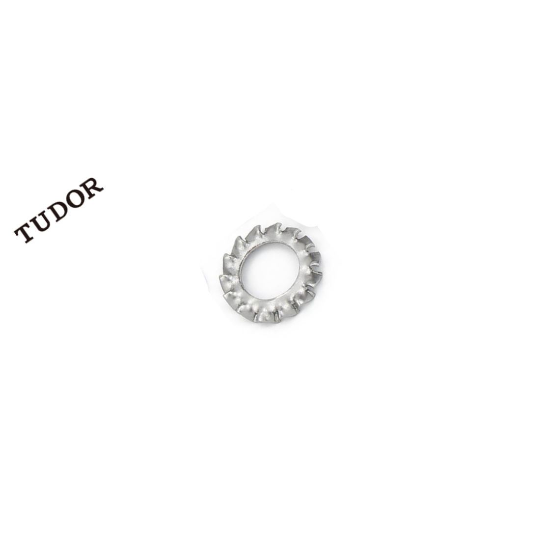 TUDOR/帝都 不锈钢 垫圈 外锯齿锁紧垫圈 DIN6798A 不锈钢 本色 M10 2T4390 1支