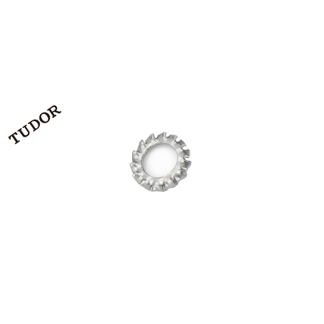 TUDOR/帝都 不锈钢 垫圈 锥型外锯齿锁紧垫圈V型 DIN6798V 不锈钢 本色 M6 否 M6 粗牙 全牙 正 2T4399 1支