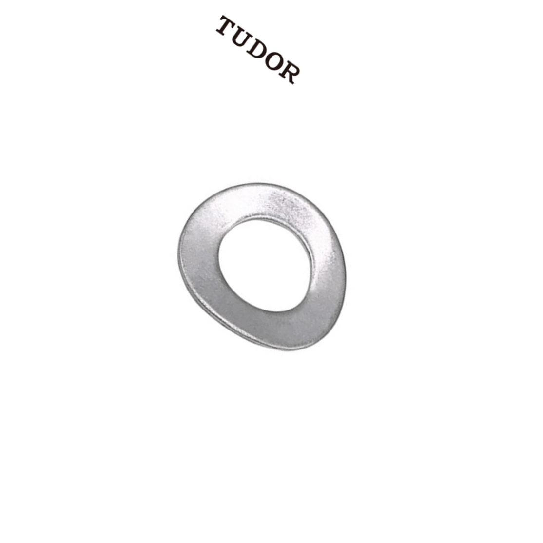 TUDOR/帝都 不锈钢 垫圈 鞍形垫圈 DIN137A 不锈钢 本色 M3 粗牙 全牙 正 2T4412 1支