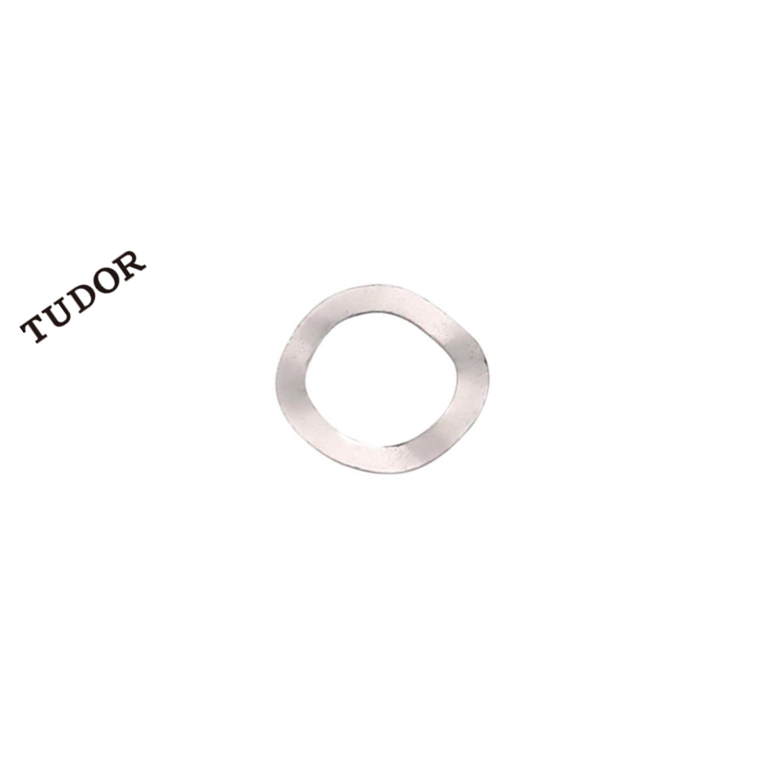 TUDOR/帝都 不锈钢 垫圈 鞍形垫圈 DIN137B 不锈钢 本色 M6 粗牙 全牙 正 2T4421 1支