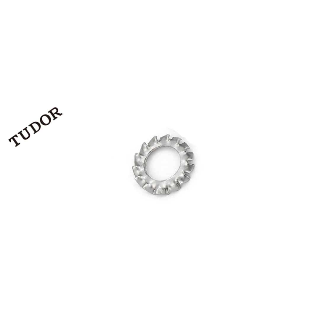 TUDOR/帝都 不锈钢 垫圈 外锯齿锁紧垫圈 GB862.2 不锈钢 本色 M10 粗牙 全牙 正 2T4488 1支