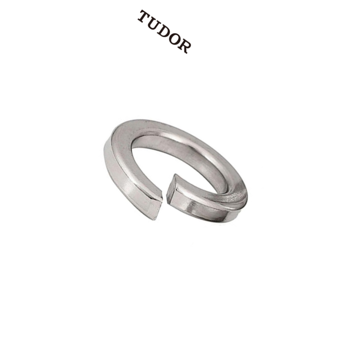 TUDOR/帝都 不锈钢 垫圈 弹垫 DIN127 不锈钢 本色 M27 粗牙 全牙 正 2T4560 1支