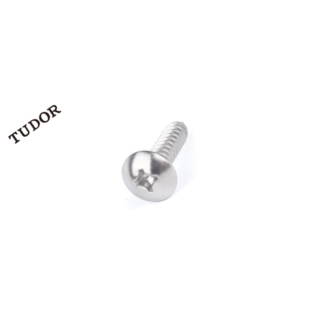 TUDOR/帝都 不锈钢自攻钉 JISB1122T 不锈钢304 A2-20H 本色 ST5.5*22 否 ST5.5 粗牙 22mm 全牙 正 2T5981 1支