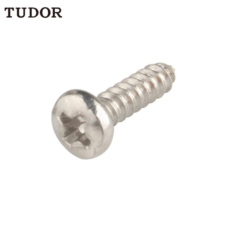 TUDOR/帝都 不锈钢自攻钉 YB845 不锈钢304 A2-20H 本色 ST4(3.9) 粗牙 75mm 全牙 正 2T6073 1支