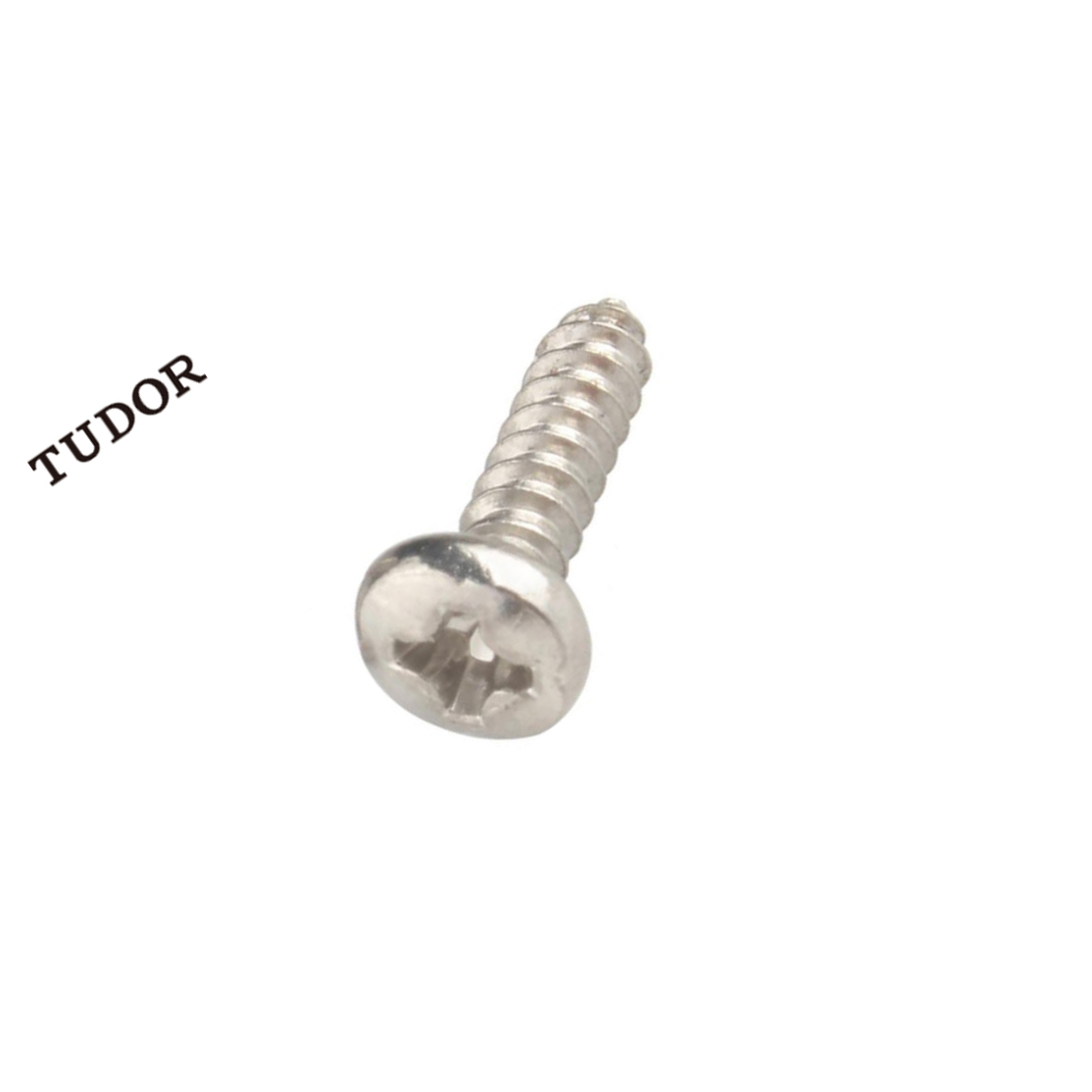 TUDOR/帝都 不锈钢自攻钉  TA 不锈钢 本色 ST4(3.9)*18 否 ST4(3.9) 粗牙 18mm 全牙 正 2T6392 1支