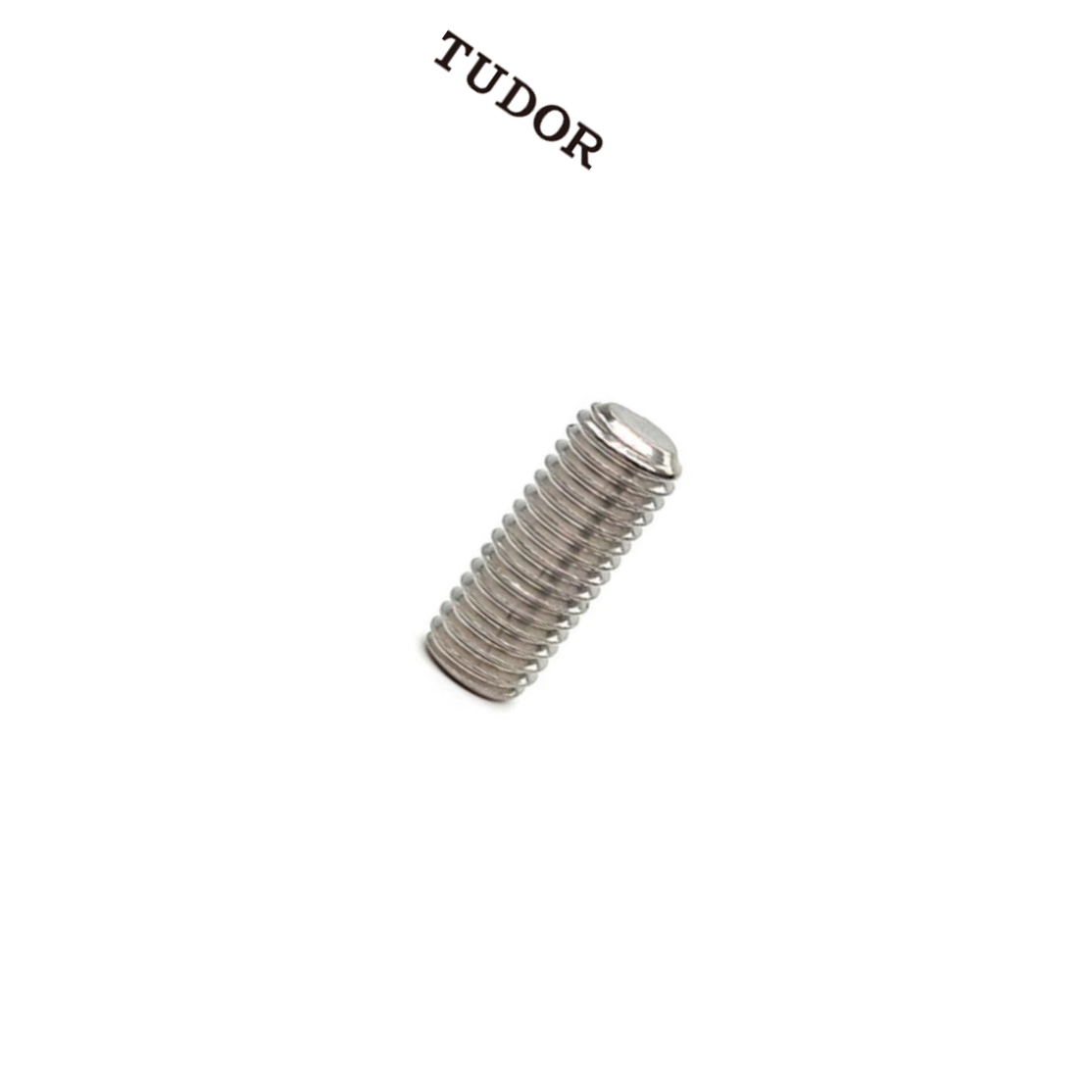 TUDOR/帝都 不锈钢紧定螺钉 DIN913 不锈钢 本色 M8 粗牙 30mm 正 2T6541 1支
