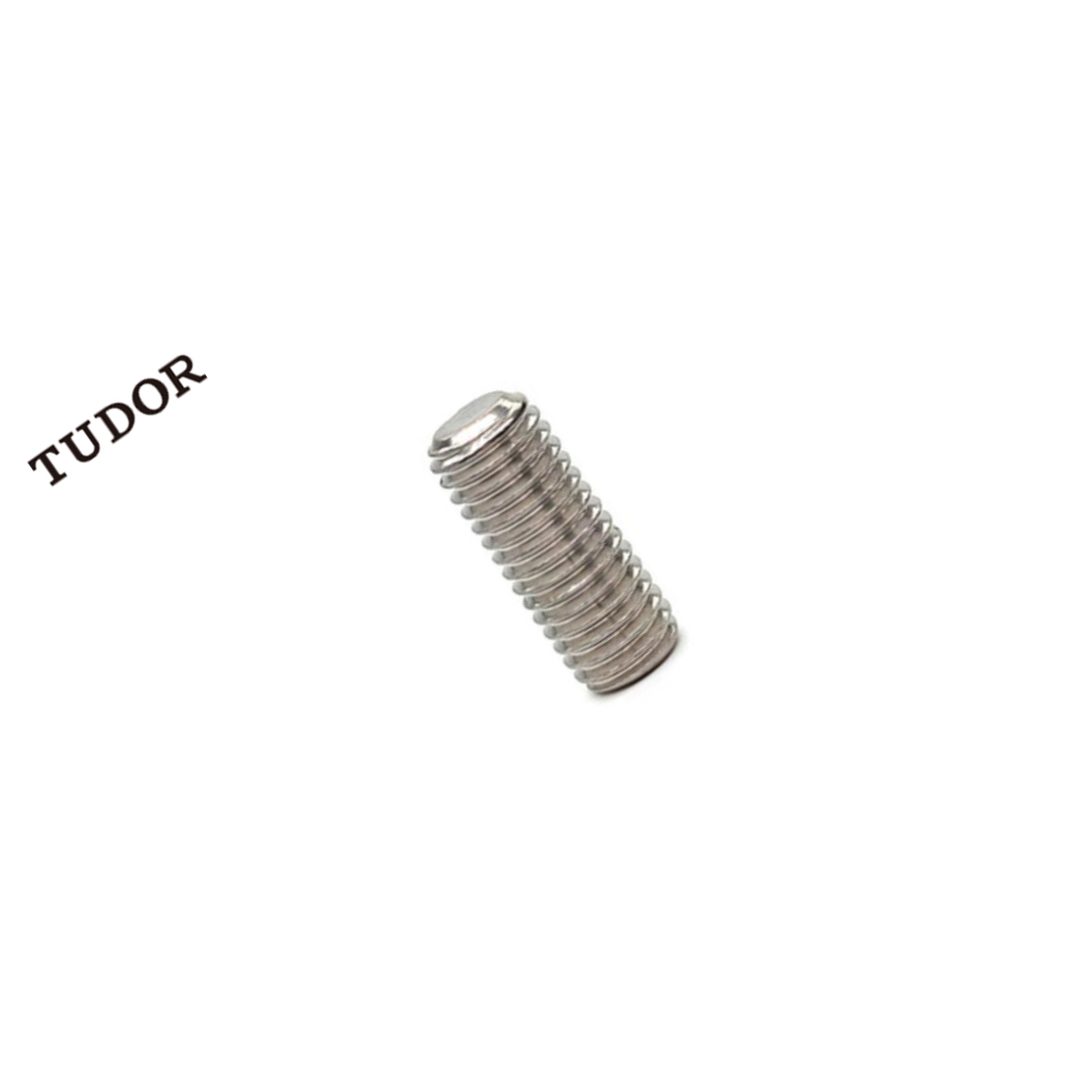 TUDOR/帝都 不锈钢紧定螺钉  DIN913 不锈钢 本色 M6*20 否 M6 粗牙 20mm 正 2T6527 1支