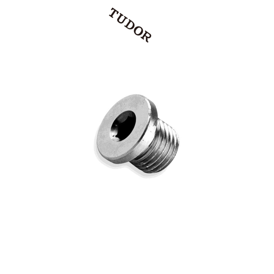 TUDOR/帝都 不锈钢喉塞 DIN906 合金钢 12.9级 黑色 否 NPT1/16-27 粗牙 全牙 正 2T6880 1支