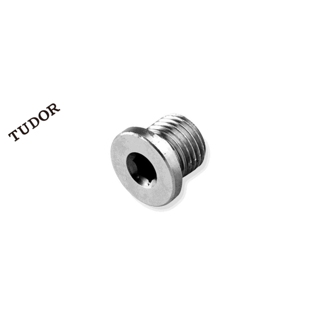 TUDOR/帝都 不锈钢喉塞 DIN906 合金钢 12.9级 黑色 否 NPT1/16-27 粗牙 全牙 正 2T6880 1支
