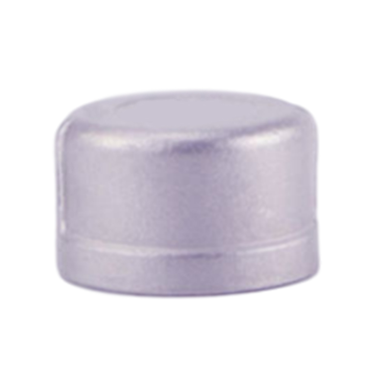 FORANT/泛特 不锈钢螺纹接头 管帽 1”mm 304/316不锈钢 80-8080-566 1个