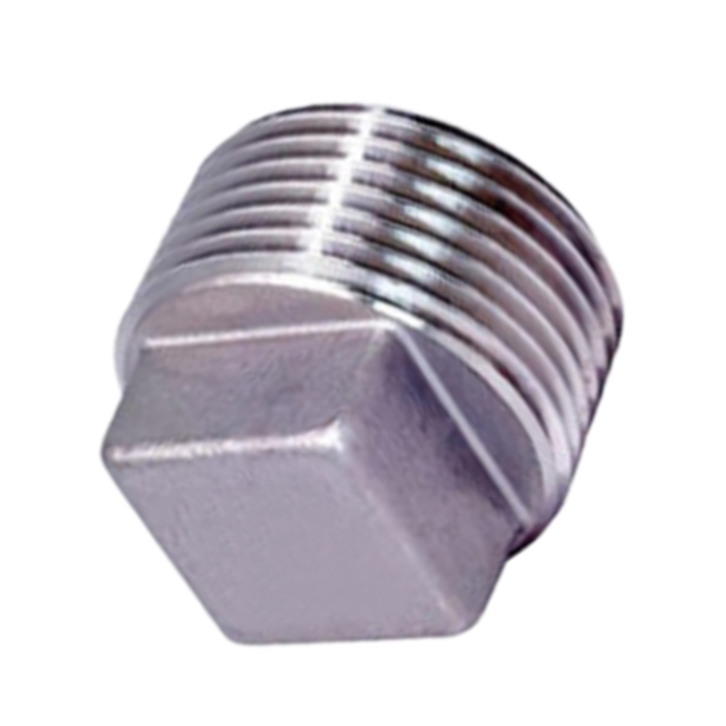 FORANT/泛特 不锈钢螺纹接头 堵头 2”mm 304不锈钢 80-8080-578 1个