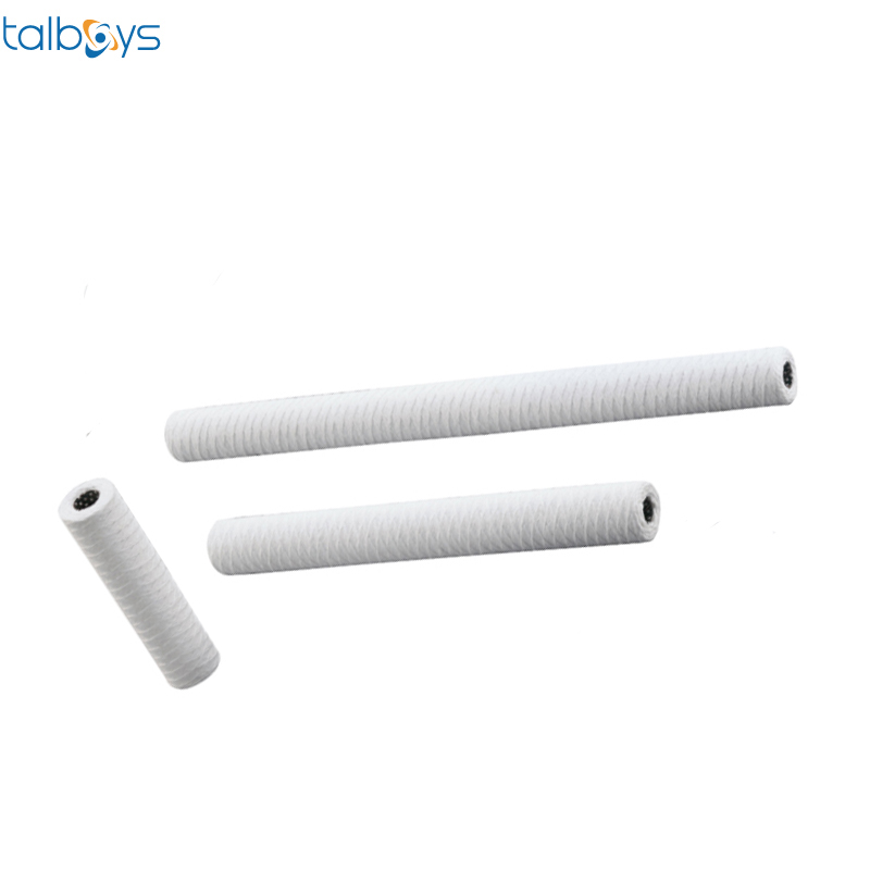 talboys/塔尔博伊斯 缠线滤芯 棉制 100um 滤网／棉、芯／SUS304 1bar 250mm φ61mm*φ28mm TS290345 1个