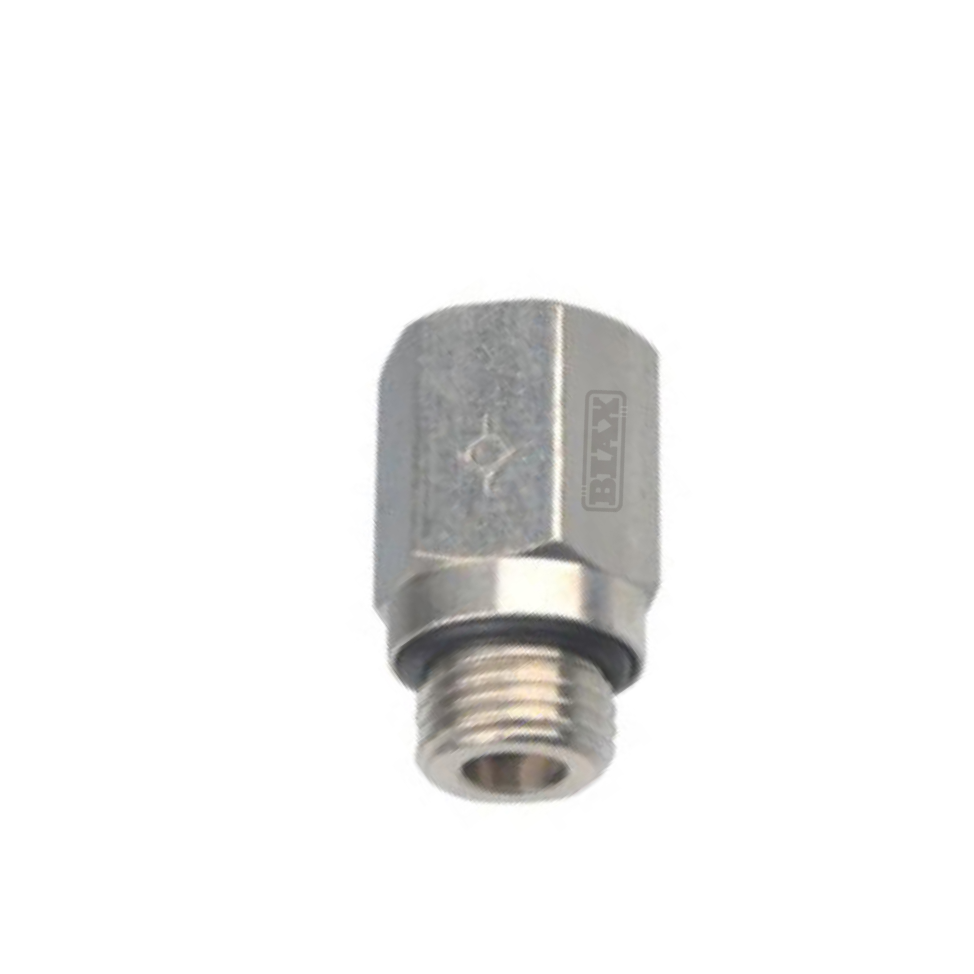 BIAX/巴克斯 CVPF-G单向阀 AT91-100-825 1mm G01mm CVPF01-G01 1个