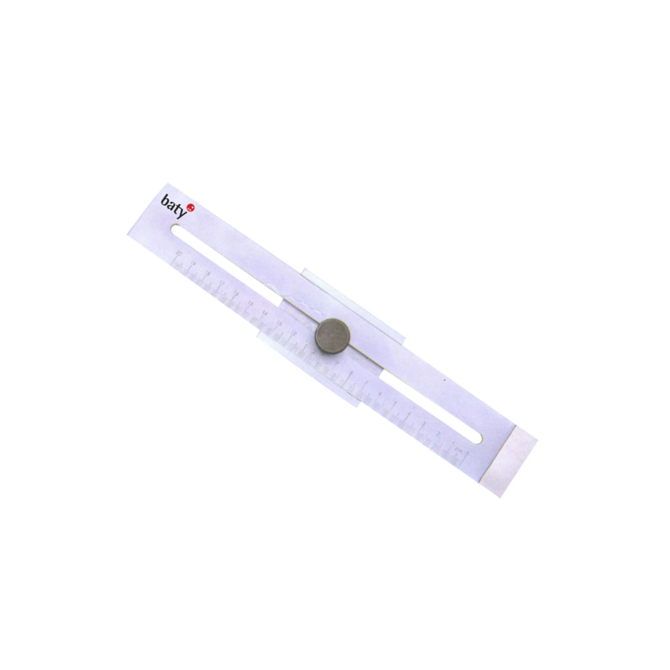 baty/贝迪 标记尺 0~250mm 0.1mm 0.1mm BT6-100-41 1把