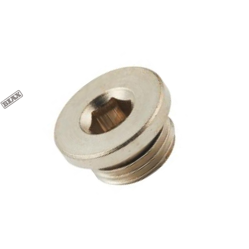 BIAX/巴克斯 3015铜接头 AT91-100-1824 G1/4" G1/4" 不锈钢 3015-1/4 1个