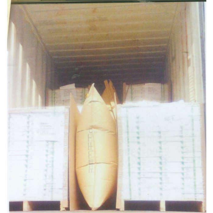 FORANT/泛特 高强度充气袋 PP及PE覆膜的牛皮纸 900*1800mm 88101395 1个