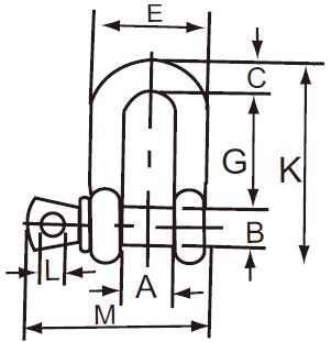 FORANT/泛特 普通卸扣 D型卸扣 1T 16.8mm 0.13Kg 3/8mm 11.2mm 88101538 1个