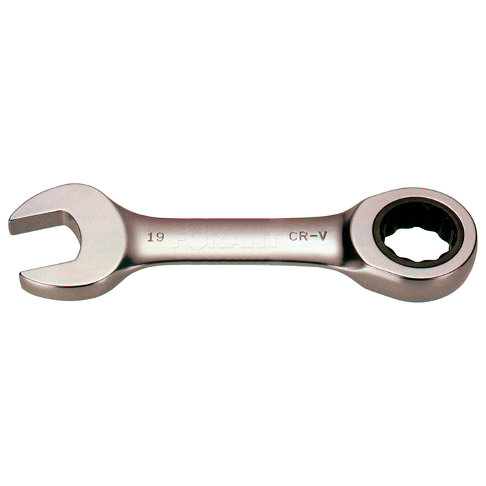 FORANT/泛特 单向棘轮扳手 21*291mm 88300093 1个