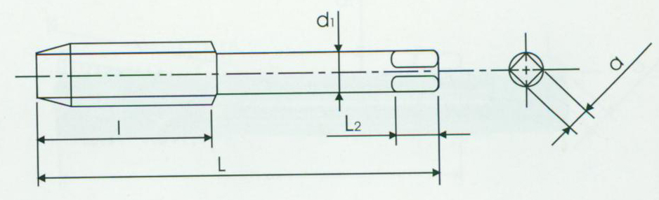 FORANT/泛特 全磨制螺尖丝锥 M3 48mm 0.35mm H2 高速钢 14.5mm 3 88209828 1只