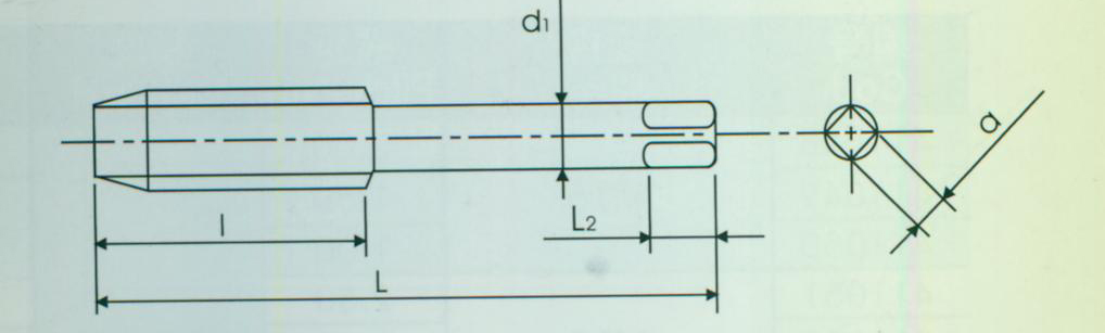 FORANT/泛特 合金钢用直槽丝锥 M10 73mm 0.75mm 金属加工 H1 H2 H3 合金钢 8mm 20mm 3 9mm 6.3mm 88211323 1把
