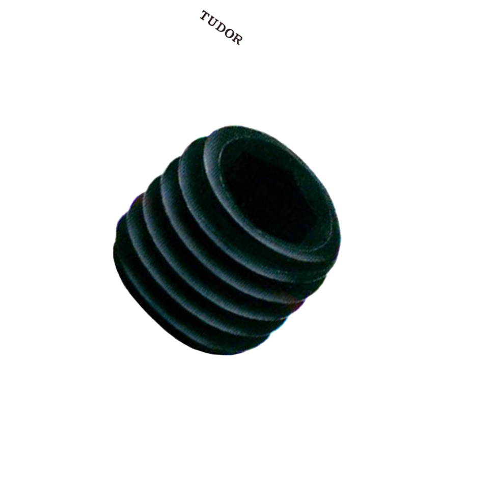 TUDOR/帝都 美制(英制)内六角孔机米螺丝 DIN6921 合金钢 12.9级 黑色  全牙 TUR050006 1包