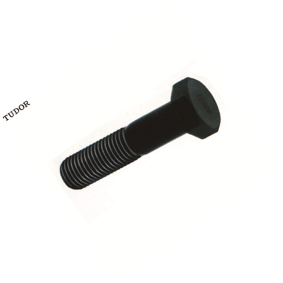 TUDOR/帝都 12.9级公制半牙外六角螺丝 ISO4014/GB5782 合金钢 12.9级 黑色  TUV1-060050-129 1包
