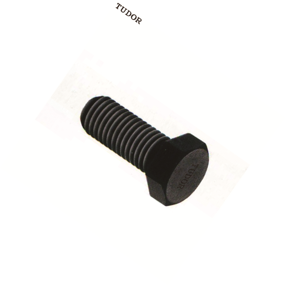 TUDOR/帝都 10.9级公制全牙外六角螺丝 ISO4017/GB5783 合金钢 10.9级 黑色 M12-1.75mm 0.1mm 粗牙 45mm 全牙 TUV3-120045 1包